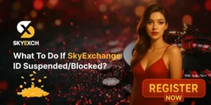 Tips After The SkyExchange ID Blocked – Complete Guide.